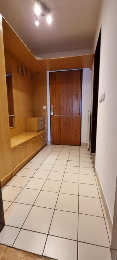 Apartma Luka With Private Parking 伊佐拉 外观 照片